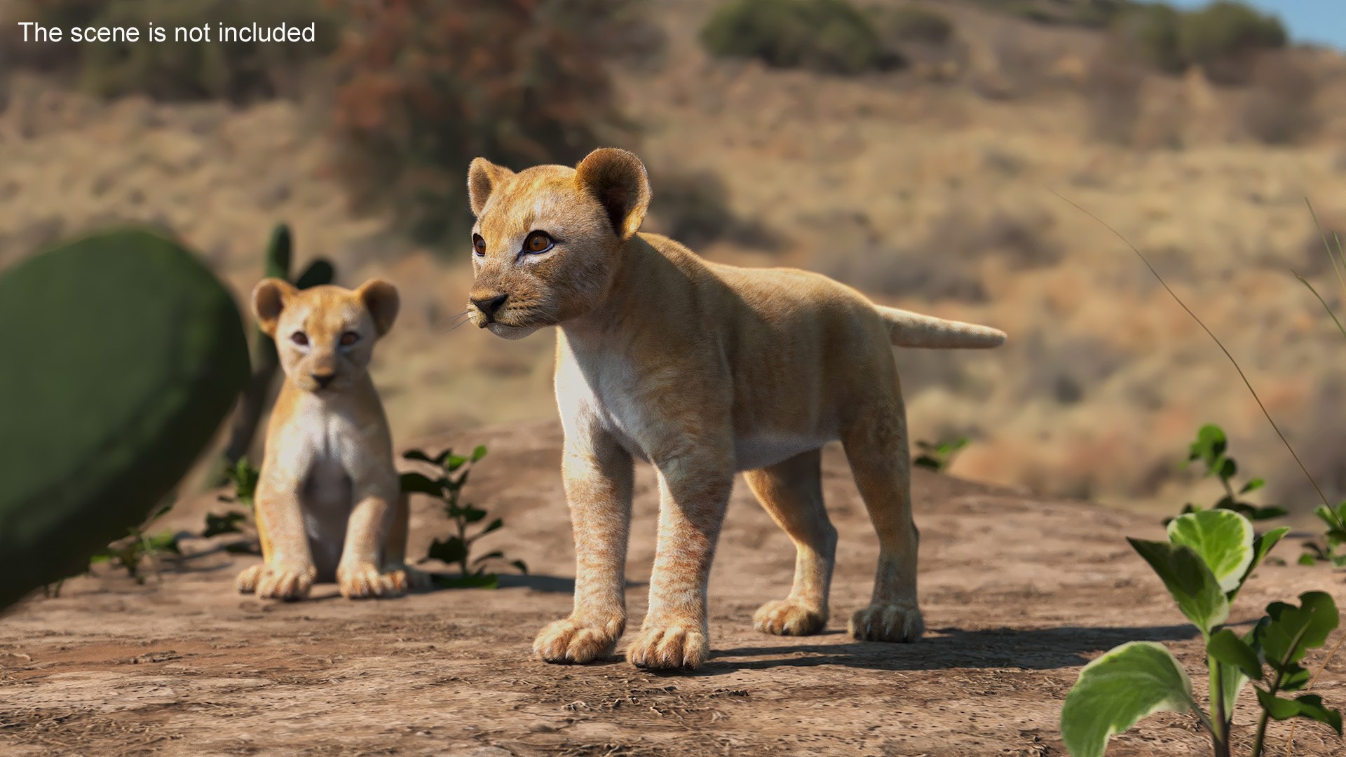 Lion Cub Fur 3D Model - TurboSquid 2335374