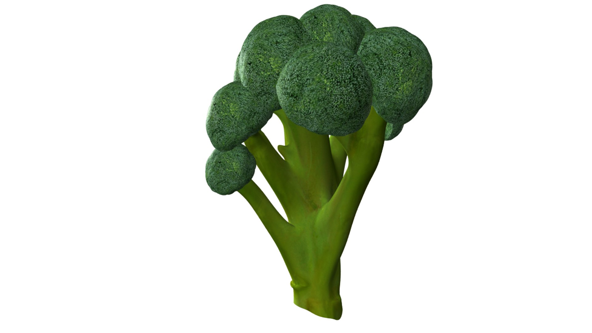 Brocolli Obj