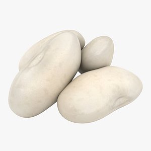 realistic white kidney bean model