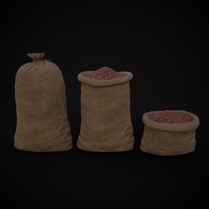 3D Burlap Sacks of Chestnuts