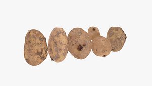 Potato Scan pack 1 3D model