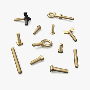 Brass Nut and Bolt Kit 3D model