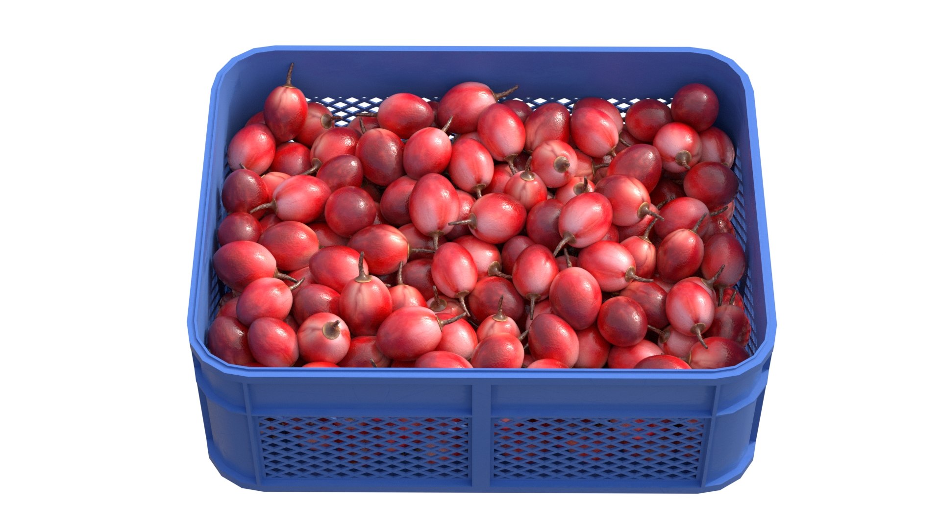 3D model Tamarillo Plastic Crate https://p.turbosquid.com/ts-thumb/z9/ZCYOuU/22/3/jpg/1778857311/1920x1080/fit_q87/ce219052657bfc088e5f48300eaa48e3828b1a58/3.jpg