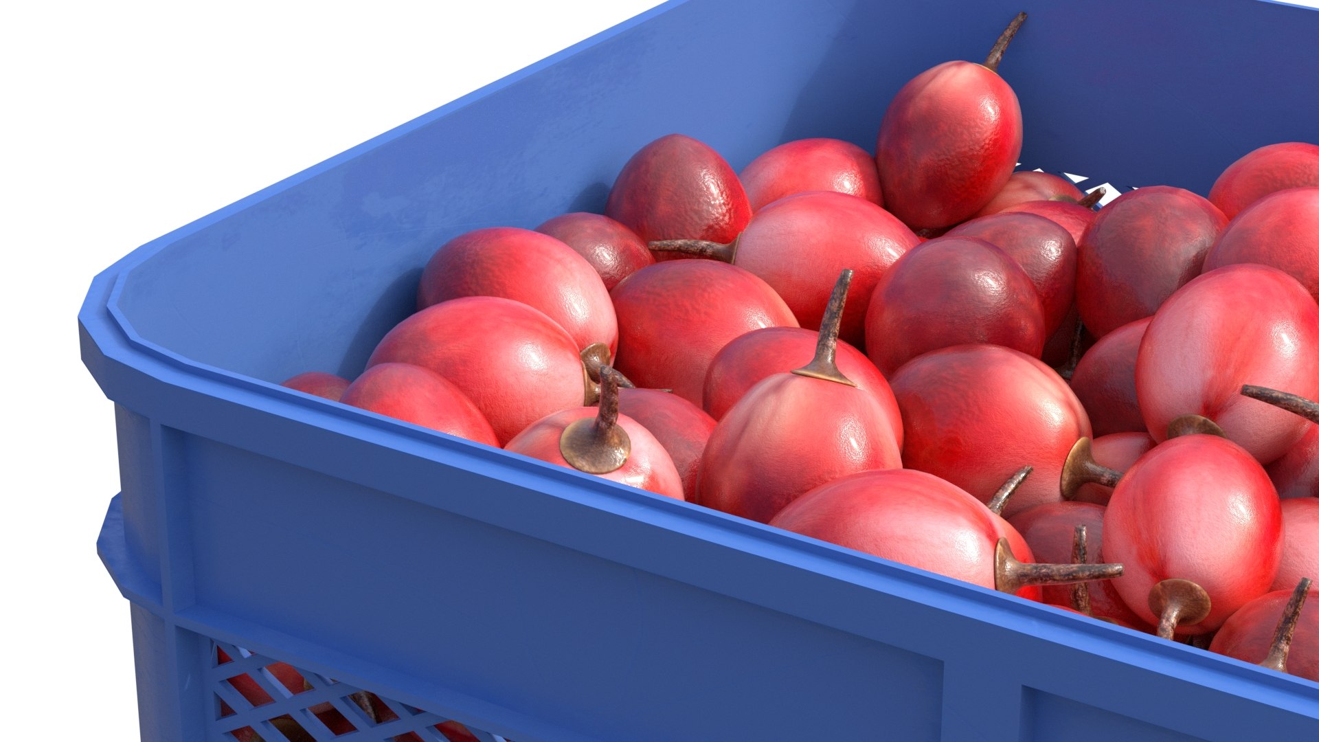3D model Tamarillo Plastic Crate https://p.turbosquid.com/ts-thumb/z9/ZCYOuU/Cz/4/jpg/1778857312/1920x1080/fit_q87/a6ef40be4885cadfae7d0a7f51b1e67f8004c585/4.jpg