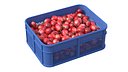 Tamarillo Plastic Crate