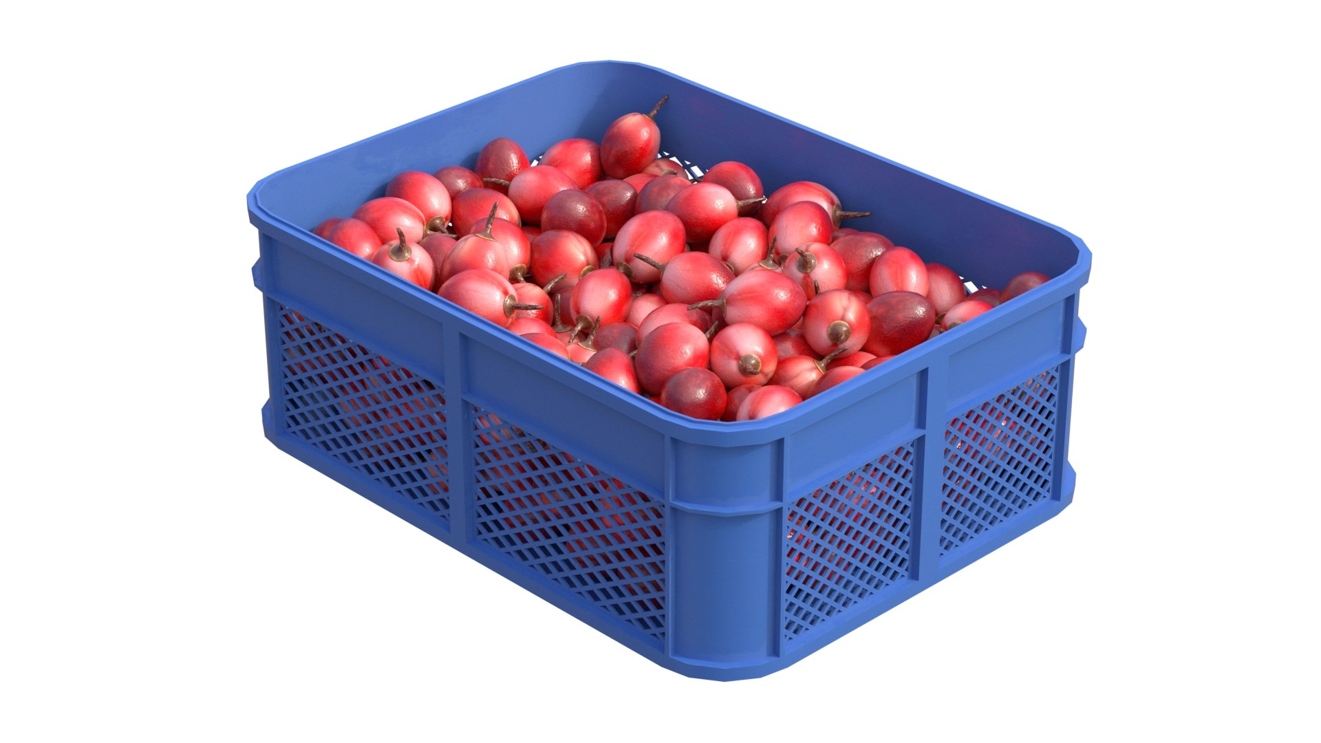 3D model Tamarillo Plastic Crate https://p.turbosquid.com/ts-thumb/z9/ZCYOuU/ej/2/jpg/1778857310/1920x1080/fit_q87/9b142d139d7d9b7d4f66d03fc459c42a41d992ba/2.jpg
