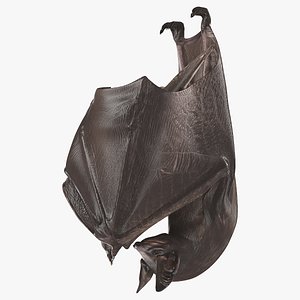 Hanging Black Bat 3D model
