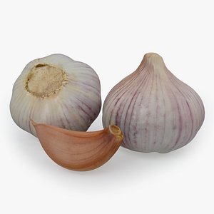 3D garlic food vegetable