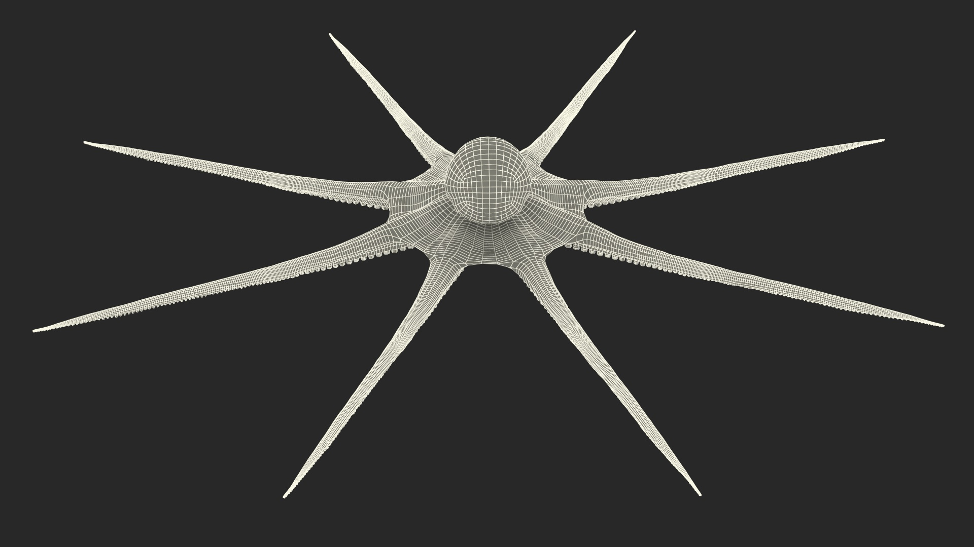 3D Octopus Vulgaris Rigged For Maya - TurboSquid 2035444