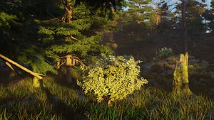 3D Seasonal Forest Pack 5 Environments PBR