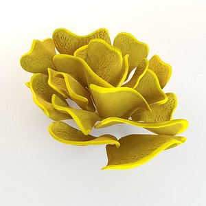 Coral Yellow scroll