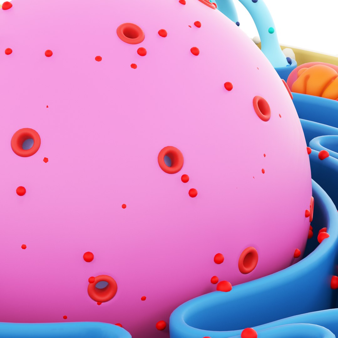 cell 3d max https://p.turbosquid.com/ts-thumb/zA/Aczgnd/I2Jj7DGI/r7a/jpg/1466620644/1920x1080/fit_q87/09b2af8eb37749c2f1950d0c15e1b3699b8405e8/r7a.jpg