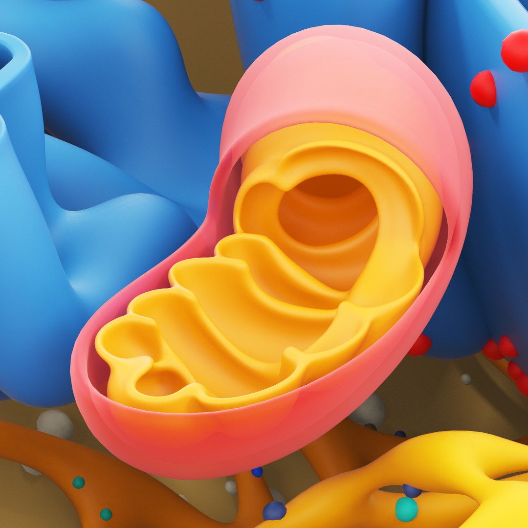 cell 3d max https://p.turbosquid.com/ts-thumb/zA/Aczgnd/KSSMFFHp/r6a/jpg/1466620644/1920x1080/fit_q87/05074f17113fe9a3400905eba1bc525cef320a5f/r6a.jpg