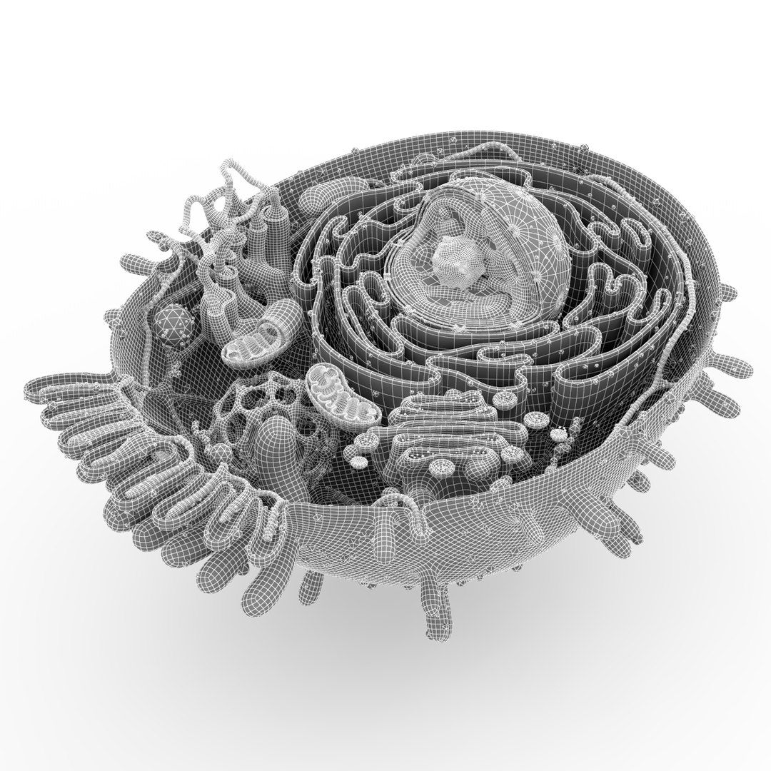 cell 3d max https://p.turbosquid.com/ts-thumb/zA/Aczgnd/iSekX6ah/r12/png/1466620658/1920x1080/fit_q87/5457eb8c9e306cac80eb4d9fa847b5a20b93de45/r12.jpg