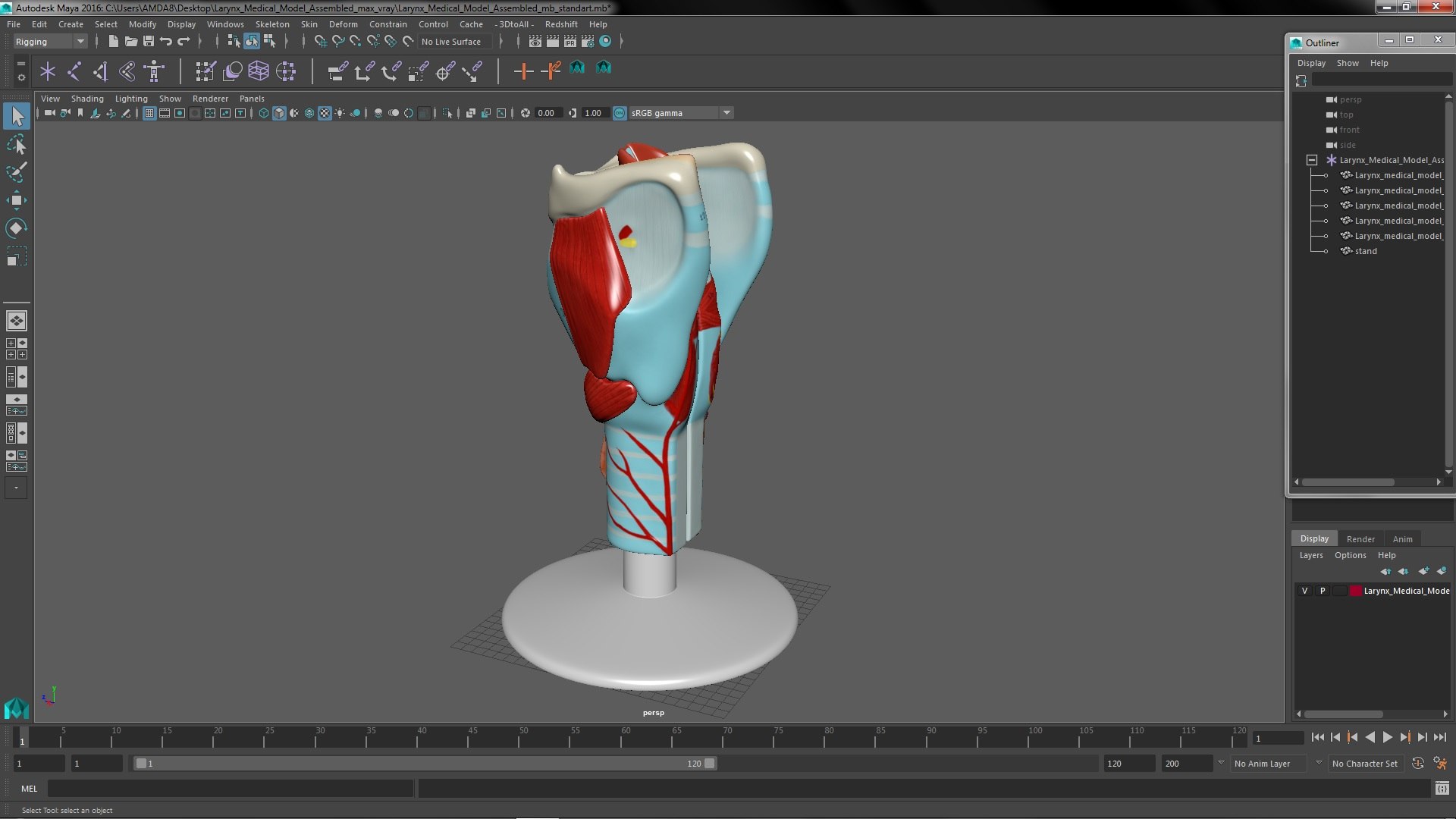 3D Larynx Medical Model Assembled model https://p.turbosquid.com/ts-thumb/zA/D2YSOi/YF/larynxmedicalmodelassembledmb3dmodel041/jpg/1671687433/1920x1080/fit_q87/c164d5e0b88d58378523a01ec4a24216e8b79d13/larynxmedicalmodelassembledmb3dmodel041.jpg