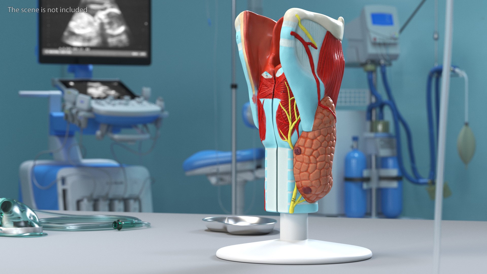 3D Larynx Medical Model Assembled model https://p.turbosquid.com/ts-thumb/zA/D2YSOi/sK/larynxmedicalmodelassembledmb3dmodel003/jpg/1671687340/1920x1080/fit_q87/f06c865ada8f7df8dbe4f6ad8a5492262e47af3c/larynxmedicalmodelassembledmb3dmodel003.jpg