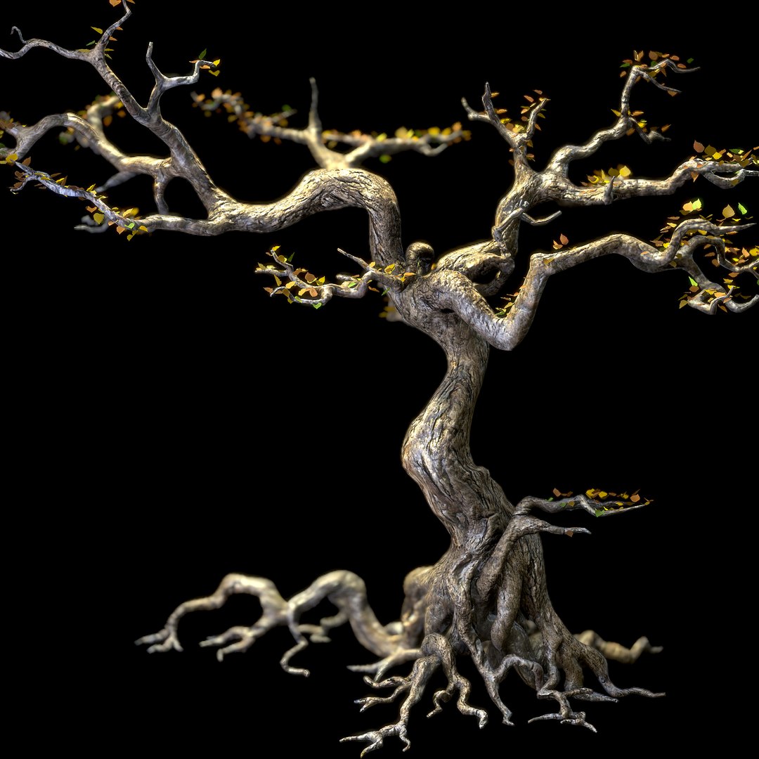 scary tree 3d model https://p.turbosquid.com/ts-thumb/zA/E57Anh/2v7HdO2a/screenshot075/png/1411081983/1920x1080/fit_q87/bb2fa29e07dd4eae475b66a192615f708b46077e/screenshot075.jpg
