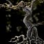 Scary Tree