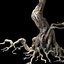 Scary Tree