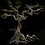 Scary Tree