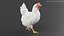 Ensemble de poulet blanc animé et riggé pour Maya