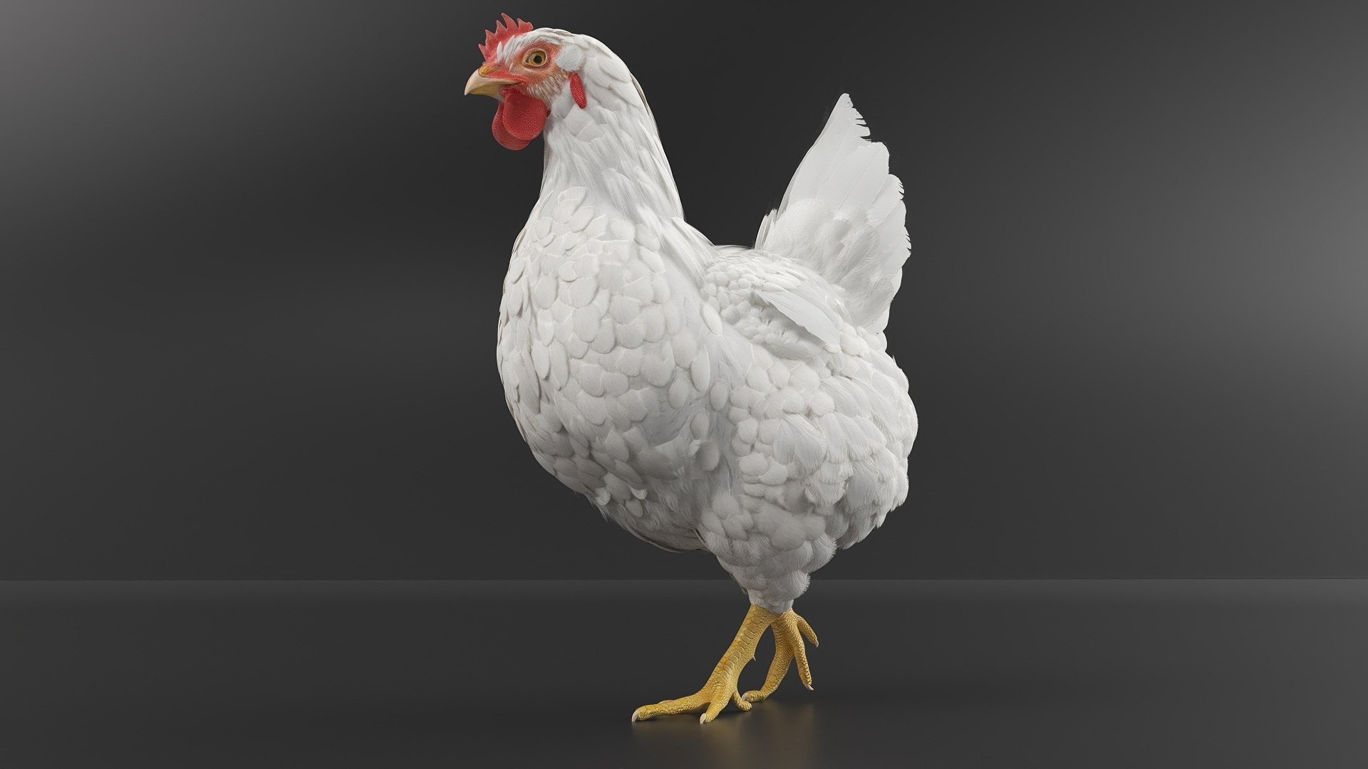 White Chicken Set Animated Rigged for Maya 3D https://p.turbosquid.com/ts-thumb/zA/GnSWY0/kg/white_chicken_set_animated_rigged_for_maya_002/jpg/1775639920/1920x1080/fit_q87/d1d922a5bb8d263cac6e4a71e79e20f75f44e3a0/white_chicken_set_animated_rigged_for_maya_002.jpg