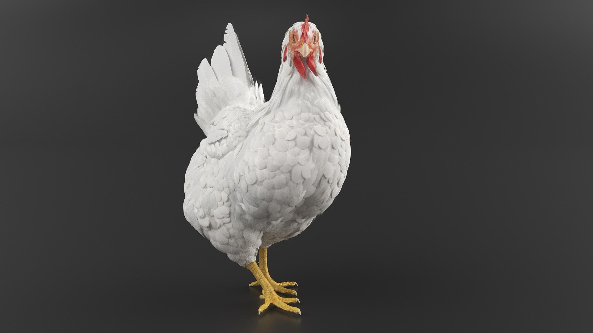 White Chicken Set Animated Rigged for Maya 3D https://p.turbosquid.com/ts-thumb/zA/GnSWY0/kx/white_chicken_set_animated_rigged_for_maya_004/jpg/1775639921/1920x1080/fit_q87/aeee412678771e35e4df511267f34caa2dff43a7/white_chicken_set_animated_rigged_for_maya_004.jpg