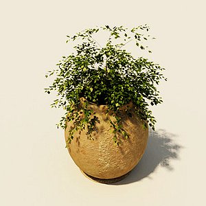 vase house plant 3d model