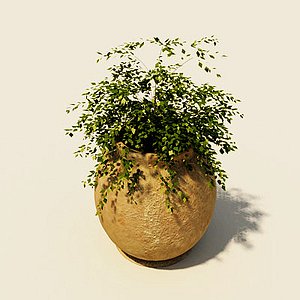 pottery_and_plant.max