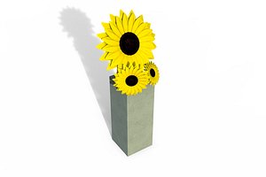 Sunflower 3D model