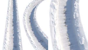Ultra realistic Winter footpath 2 2021Hq Scan 3D model