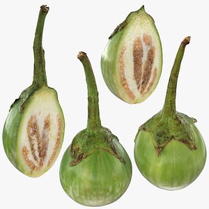 Round Green Eggplant Collection