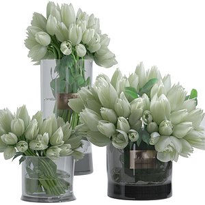 Tulips Bouquet Glass Vases Composition Set 3D