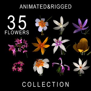 flowers animation model