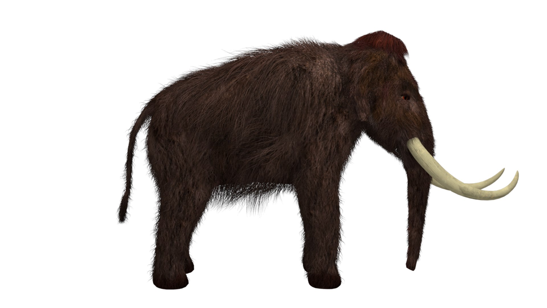 3D Nature Animal Mammoth - TurboSquid 1618110