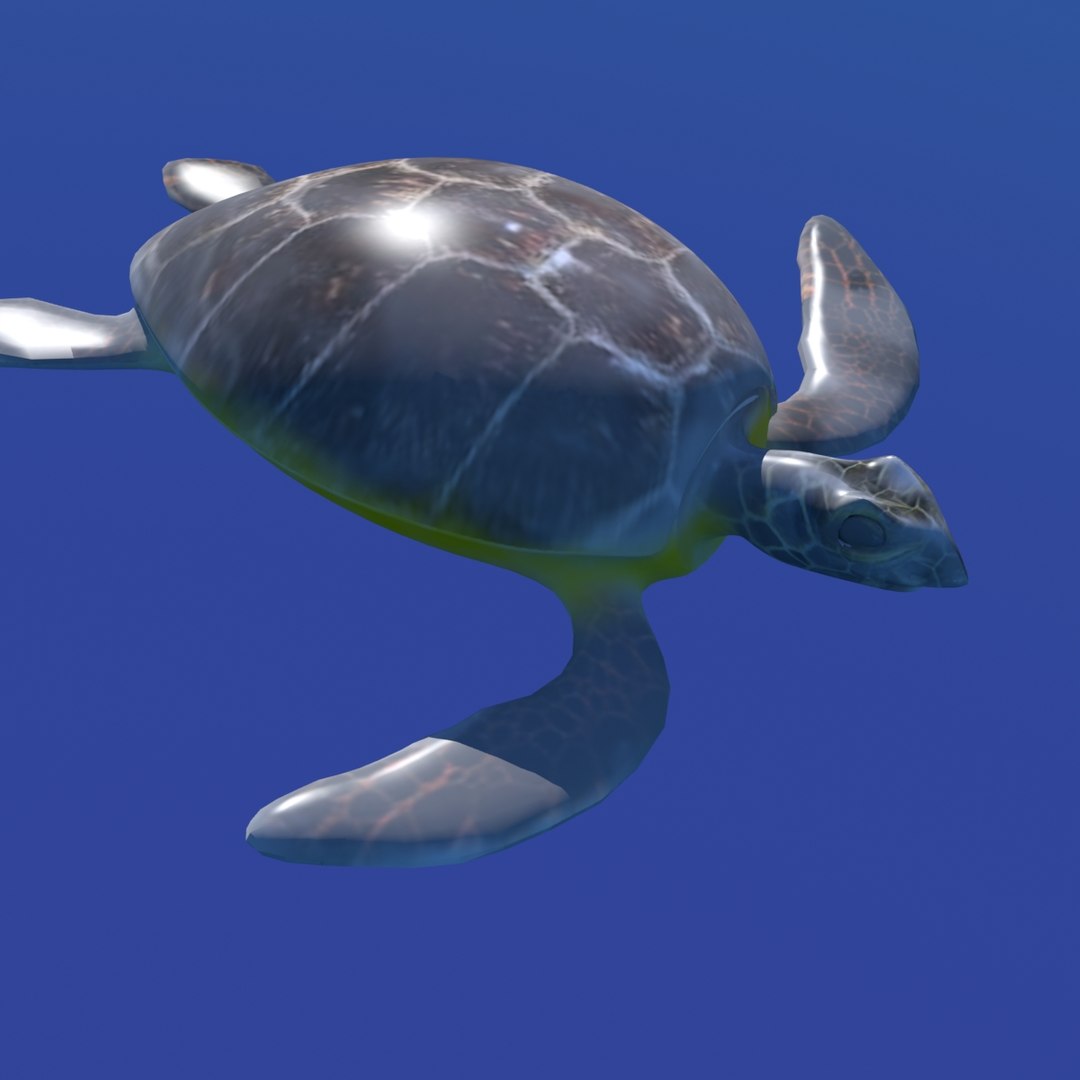 Turtle 3d X