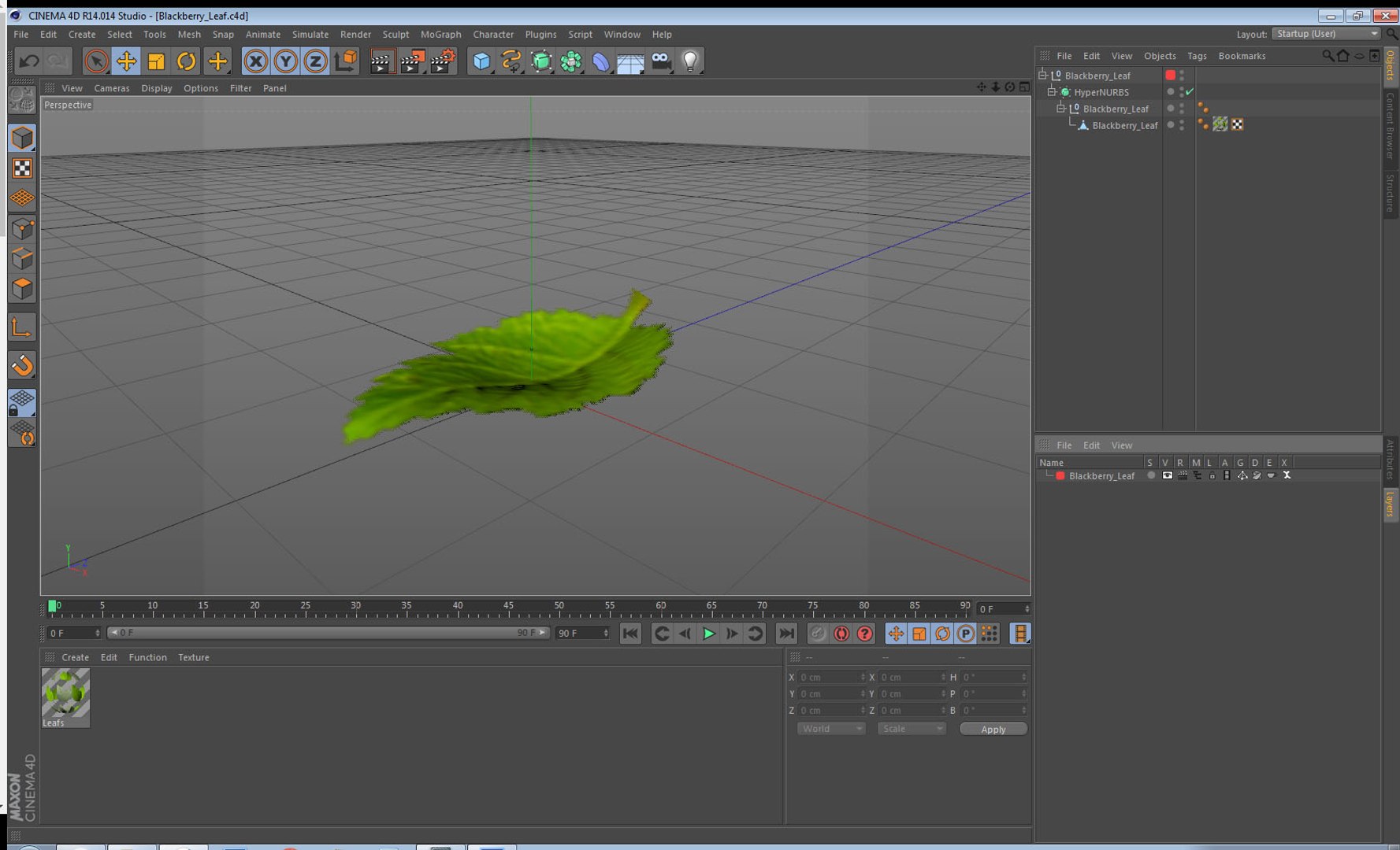 blackberry leaf 3D model https://p.turbosquid.com/ts-thumb/zB/eDHFYO/8xbjGlBD/blackberryleafvray3dmodel012/jpg/1550669955/1920x1080/fit_q87/1de0e8d69bd66683665fc60dd4aace1b250e0020/blackberryleafvray3dmodel012.jpg