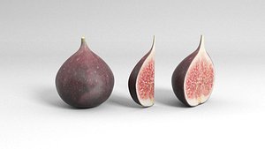 3D fig fruit slice