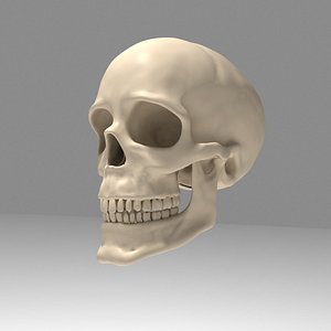 Skull