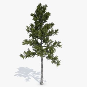 3ds Max Tree Set Polys
