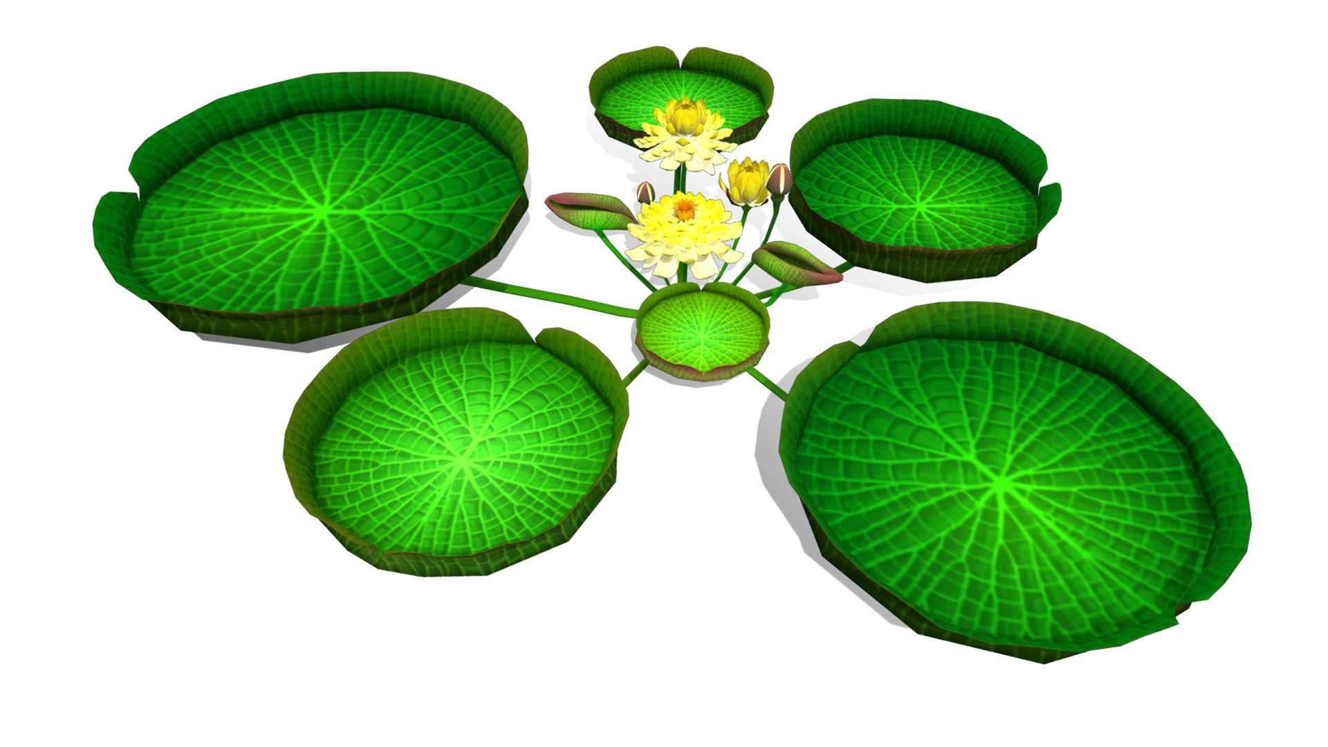 3D Flower Guyana model https://p.turbosquid.com/ts-thumb/zB/ntMCQ3/DK/flower_guyana5/png/1696046701/1920x1080/fit_q87/7304501b6b0c7b0d6a3d5c3e0098bd782a70c71b/flower_guyana5.jpg