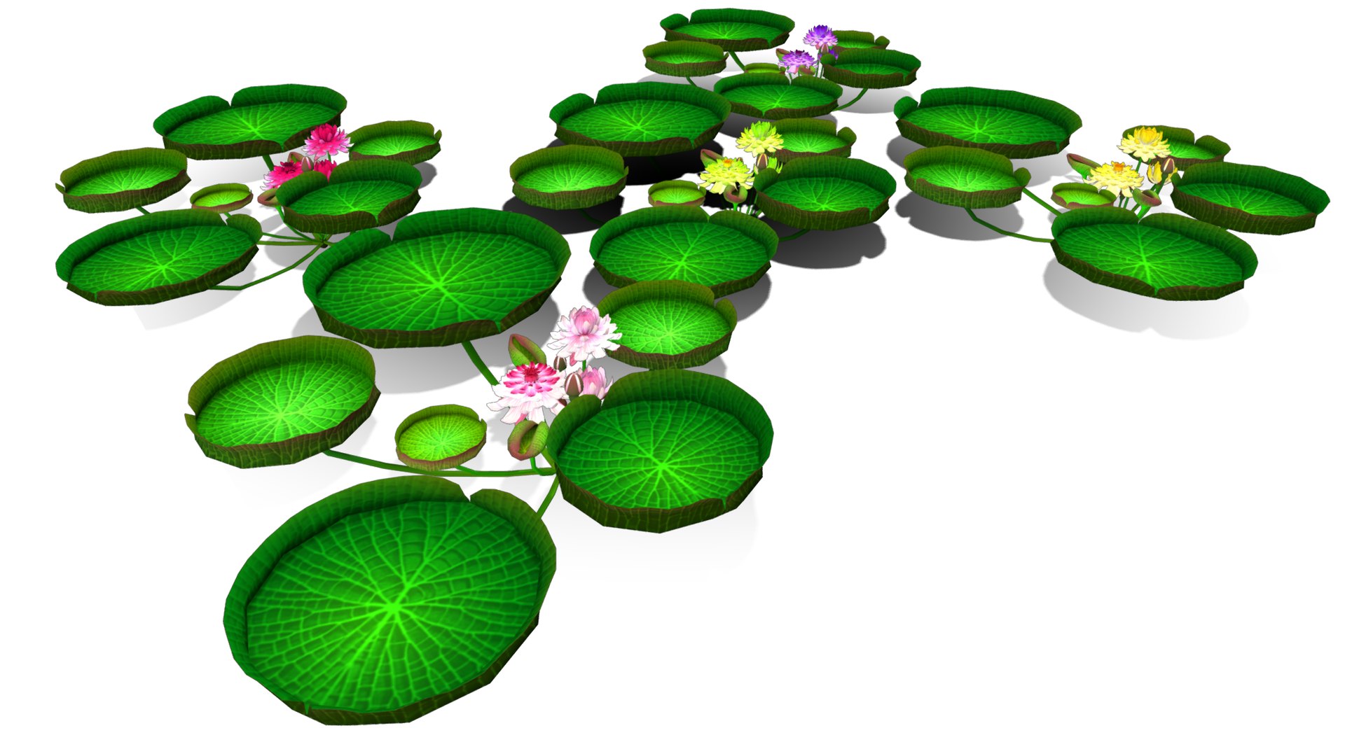 3D Flower Guyana model https://p.turbosquid.com/ts-thumb/zB/ntMCQ3/cL/flower_guyana3/png/1696046699/1920x1080/fit_q87/5d2813b2a3d936c963ceda4a45c3161dae0a53d5/flower_guyana3.jpg