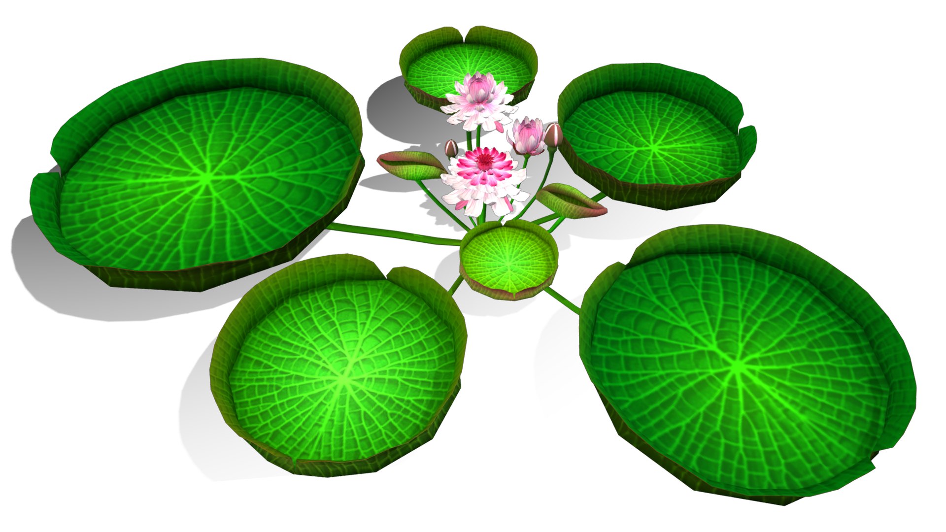 3D Flower Guyana model https://p.turbosquid.com/ts-thumb/zB/ntMCQ3/ik/flower_guyana8/png/1696046692/1920x1080/fit_q87/a8080b6bb96db8173463d3dfee9cfc82923268c3/flower_guyana8.jpg