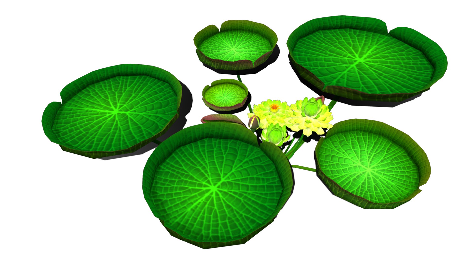 3D Flower Guyana model https://p.turbosquid.com/ts-thumb/zB/ntMCQ3/kR/flower_guyana4/png/1696046700/1920x1080/fit_q87/2fbb9ad760eb2d1a74c1f8e31a16314bd95c56d6/flower_guyana4.jpg