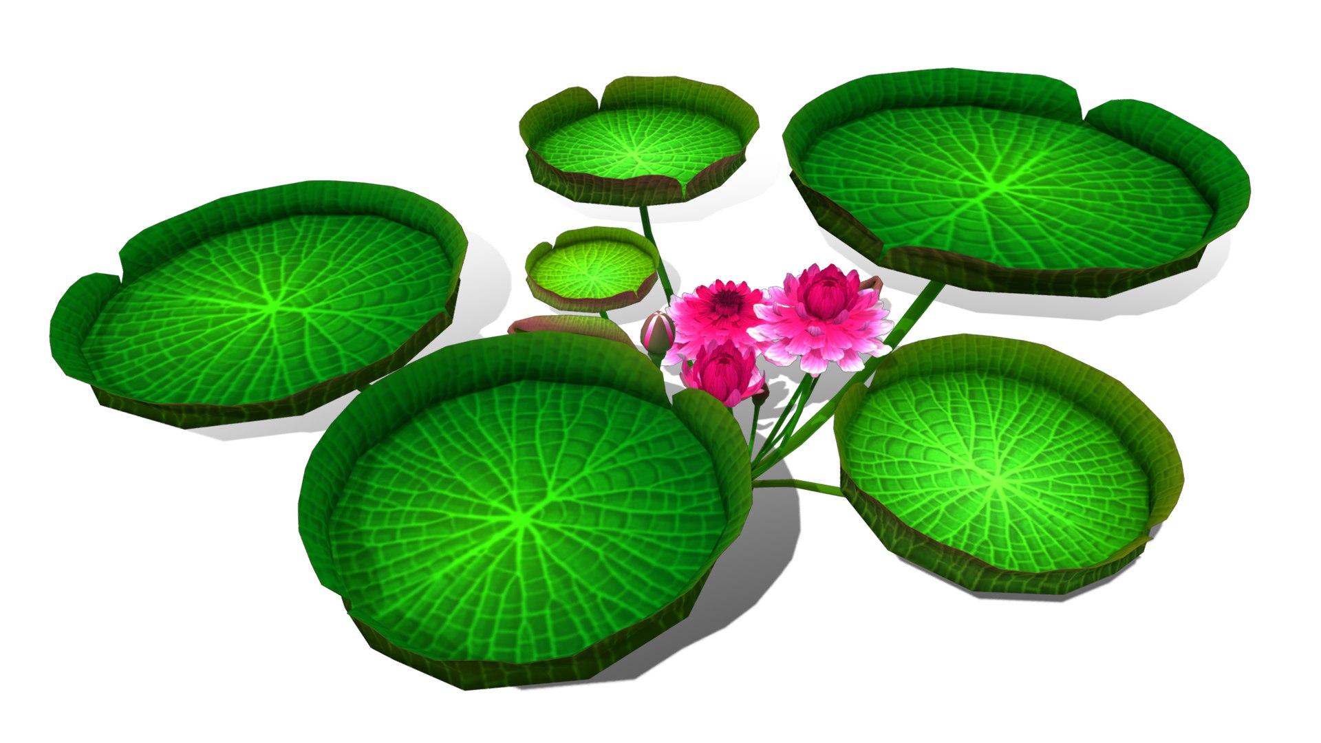 3D Flower Guyana model https://p.turbosquid.com/ts-thumb/zB/ntMCQ3/pX/flower_guyana7/png/1696046692/1920x1080/fit_q87/2dfd0eeb7312b6e43e196f93ed8fcc39918c37d8/flower_guyana7.jpg