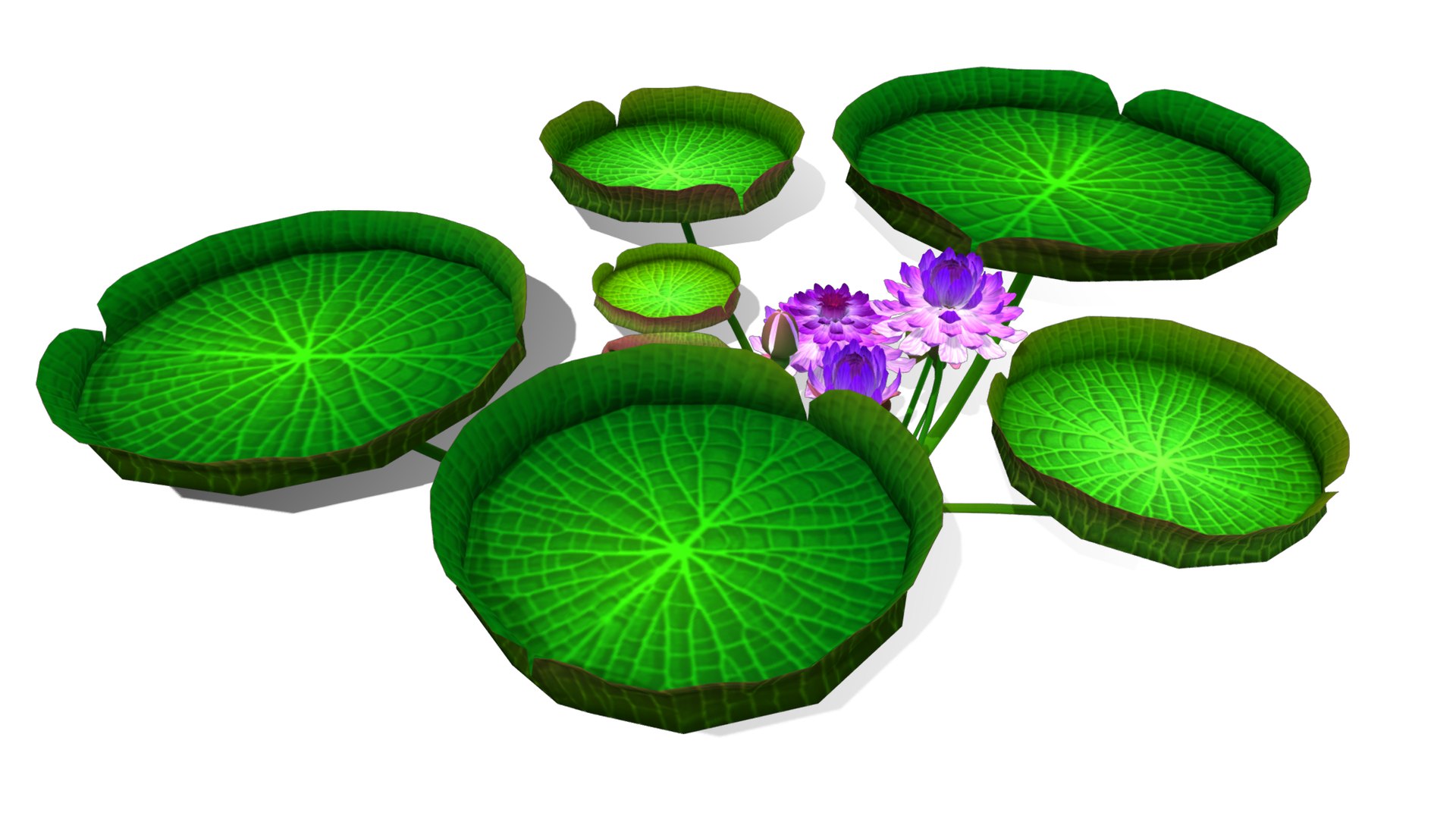 3D Flower Guyana model https://p.turbosquid.com/ts-thumb/zB/ntMCQ3/wr/flower_guyana6/png/1696046702/1920x1080/fit_q87/c6122394180ab2e18e654596336b1534a3d708de/flower_guyana6.jpg