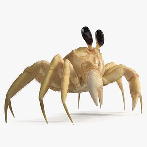 Shoreline Sand Crab Fur Rigged