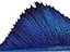 SailFish fin