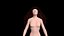 Cabello 3d gratis de una princesa perdida