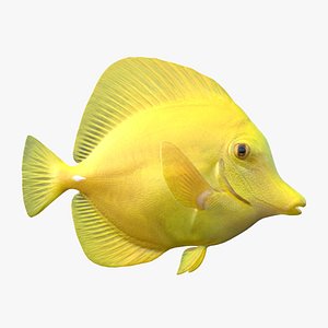 Yellow Tang Fish